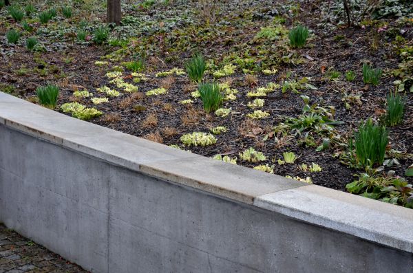 Concrete Wall Construction in Benton