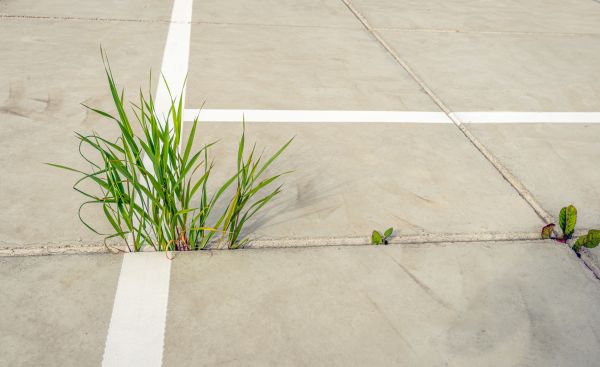 Concrete Parking Installation in Benton